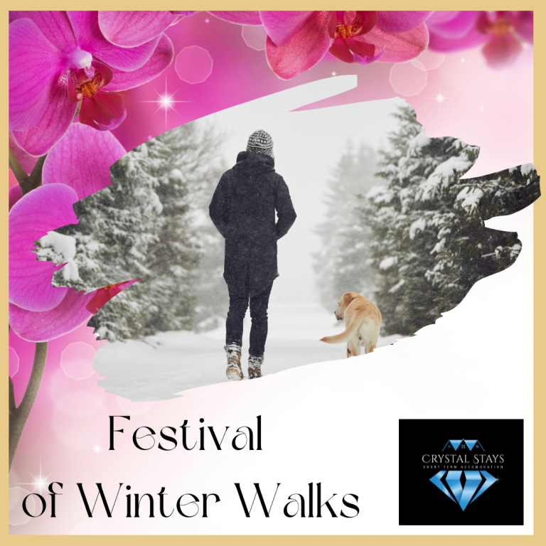 Festival of winter walks